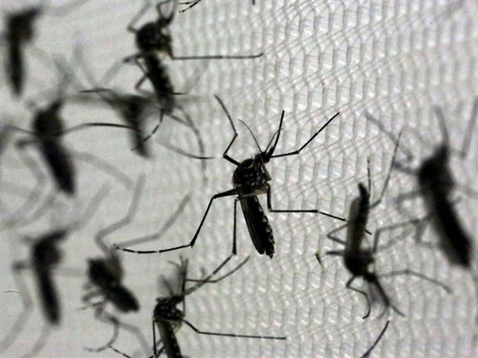 Confirmado primeiro caso de Zika em Votuporanga 