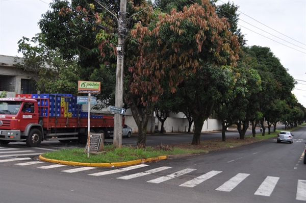 9 de julho: a luta pela Constituição Federal