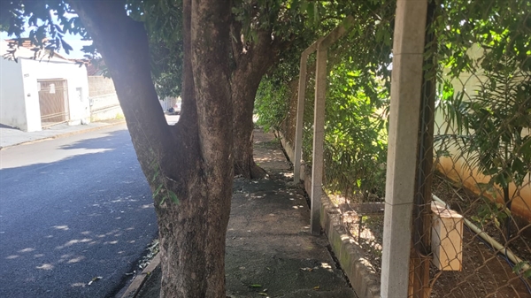  A reportagem do jornal A Cidade esteve no local e conversou om moradores para tentar entender o que aconteceu com a vítima e a situação no local. Foto: A Cidade