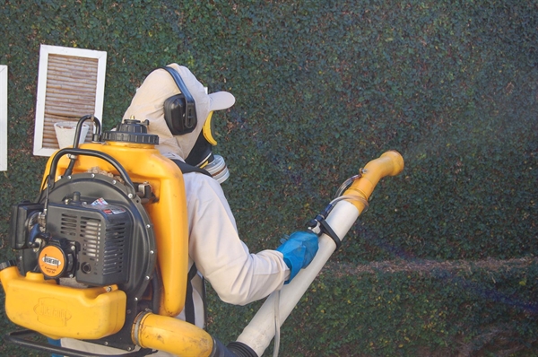 Para prevenir essas doenças, a Secretaria da Saúde realiza ações como visitas e pulverizações (Foto: Divulgação/Prefeitura de Votuporanga)