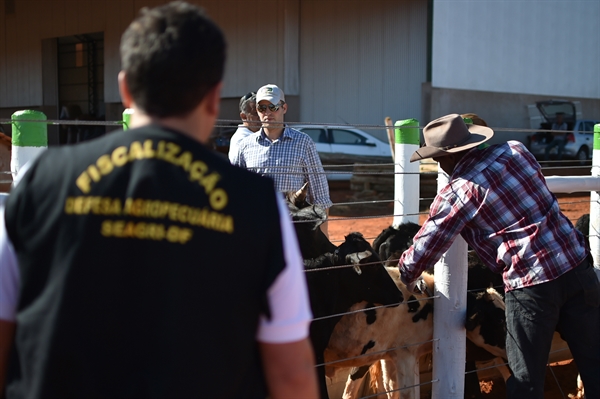 Campanha de vacinação contra a Febre Aftosa foi prorrogada; produtores de Votuporanga têm até o dia 30 de junho para imunizar rebanho  (Foto: Andre Borges/Agência Brasília)