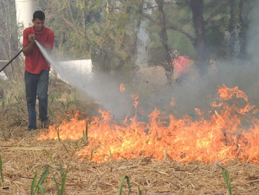 Incêndio de grande proporção atinge 40 alqueires