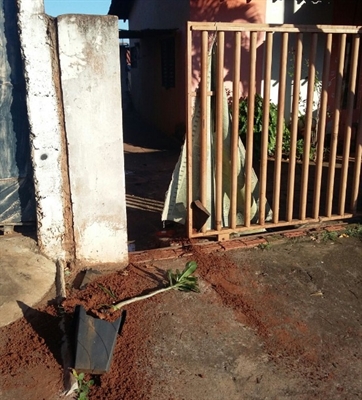 Mulher é espancada pelo filho no Palmeiras I