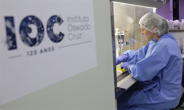 Dados foram divulgados nesta quinta-feira (19) (Divulgação/Josué Damacena (IOC/Fiocruz)