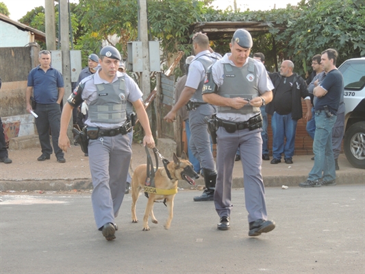 Cães farejadores do Canil de Rio Preto localizaram as drogas