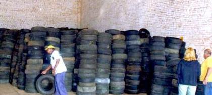 Ecotudo duplica coleta de materiais em agosto 