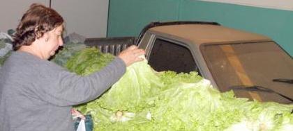 Osvaldo orienta entrega de alimentos para entidades