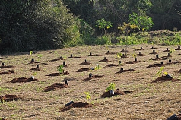 (Foto: Divulgação/Prefeitura de Votuporanga)