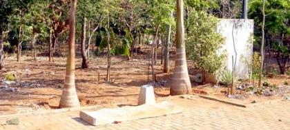 Vereador pede melhoria para reserva ecológica