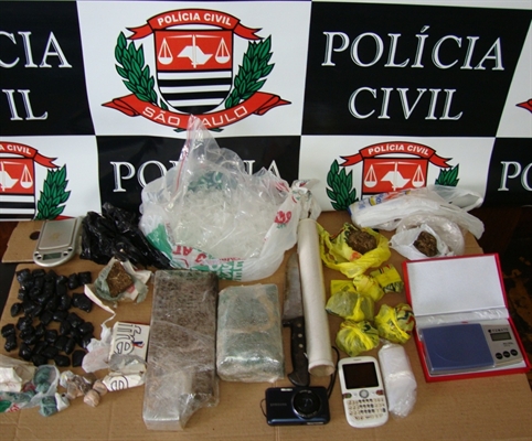 Ação da Dise apreende tijolos de maconha no Palmeiras I