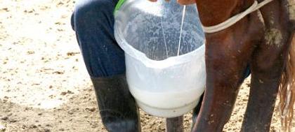 Curso de Bovinocultura de Leite em Álvares 