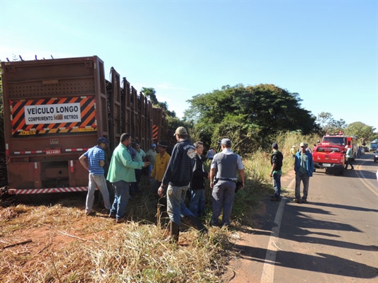 Carreta com cana tomba na vicinal do bairro dos Portugueses