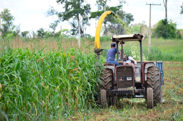 O objetivo do programa é elevar a produção de alimentos (Foto: Divulgação/Prefeitura de Votuporanga)
