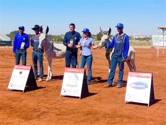 As atividades ocorrem no Centro de Eventos "Helder Henrique Galera”  Foto: Prefeitura de Votuporanga