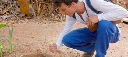 Secez inicia varredura contra dengue