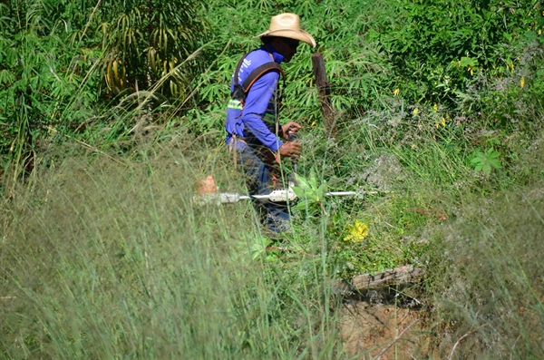 A equipe de fiscalização da Secretaria da Fazenda vistoria cerca de 12 mil em cada etapa (Foto: Divulgação/Prefeitura de Votuporanga)