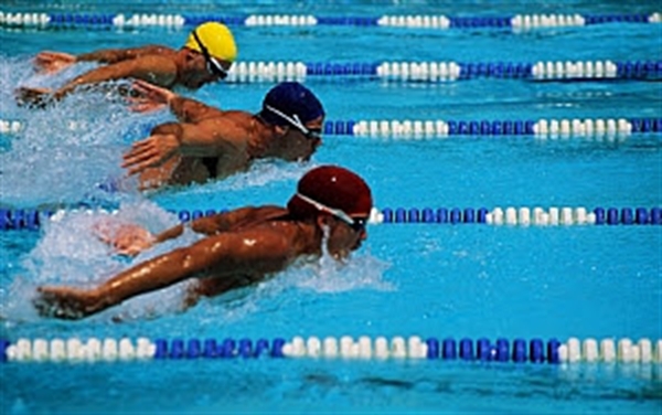 Natação bate recorde de medalhas em regional da Federação