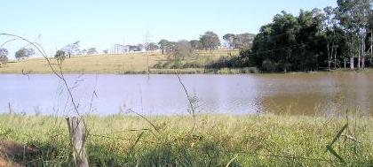 Secretário comenta mudanças no Código Florestal