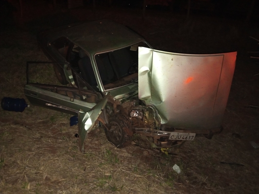 O impacto foi tão forte que a árvore chegou a ser arrancada e a frente do carro ficou completamente destruída (Foto: A Cidade)