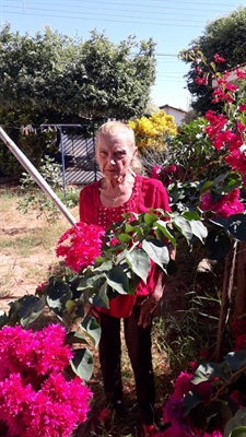 Nelci Gonçalves da Silva, 84 anos (Foto: Arquivo Pessoal)