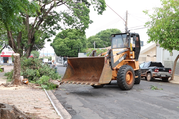 O dia de ontem foi para limpeza da cidade após a forte chuva de anteontem (Prefeitura de Votuporanga)