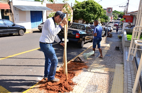 Projeto ambiental é alvo de ação de vândalos