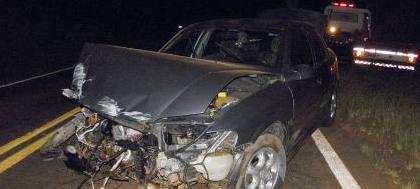 Automóvel bate forte ao desviar de tamanduá 