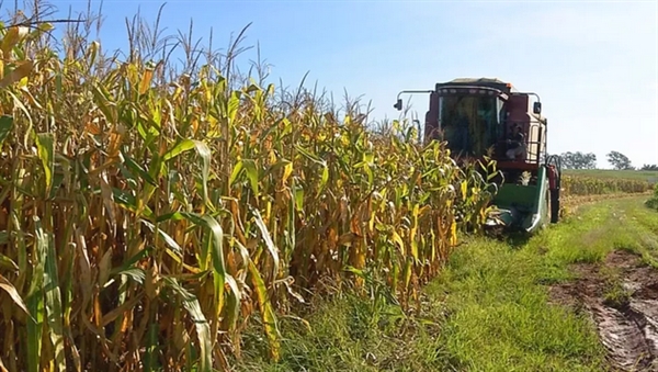 Agronegócio deve ter crescimento neste ano no Brasil, segundo Ministério da Agricultura. (Foto: Reprodução/TV TEM)