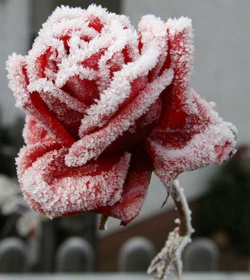 Inverno pede cuidados com a pele