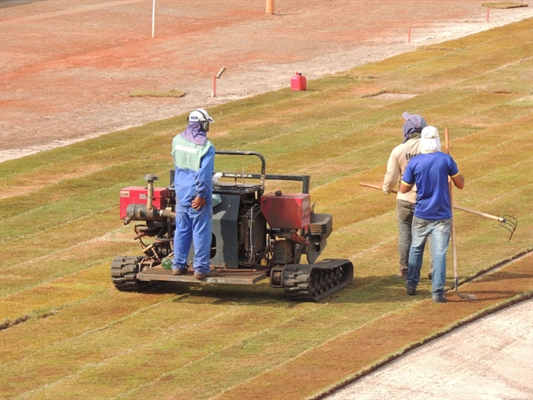 Tapete verde da arena começa a ganhar forma