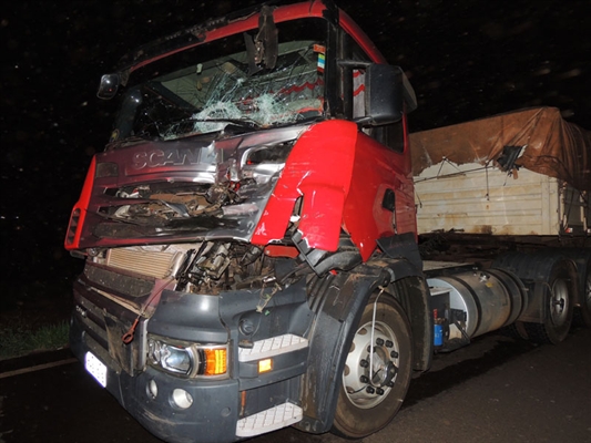 O local da batida foi sinalizado e preservado para o trabalho da Polícia Científica por funcionários da unidade básica de atendimento do DER