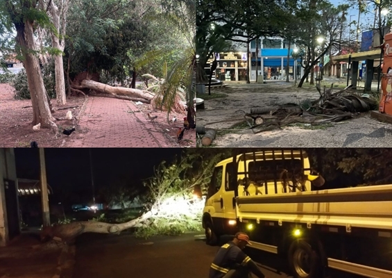 Equipes das Secretarias de Serviços Urbanos, de Obras Públicas e de Trânsito, Transporte e Segurança, além da Defesa Civil e do Corpo de Bombeiros foram mobilizadas para reparos   Foto: Prefeitura de Votuporanga