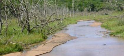 Cati elabora projeto para desassorear córrego