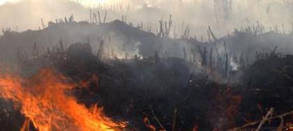 Número de queimadas aumenta mais de 90%