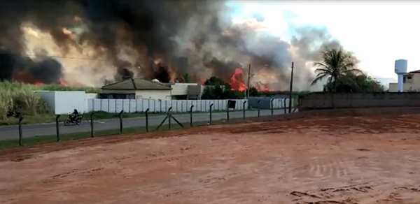 Fogo em canavial na região sul de Rio Preto. (Foto: Reprodução/TV TEM)