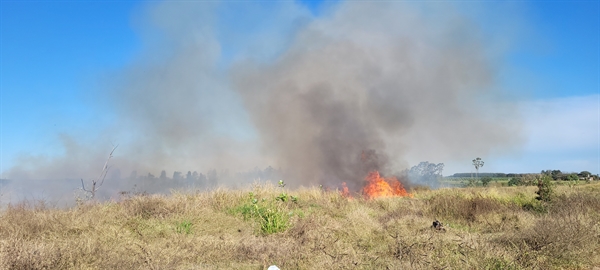 A reportagem do jornal A Cidade esteve no local e acompanhou o trabalho do Corpo de Bombeiros  Foto: A Cidade