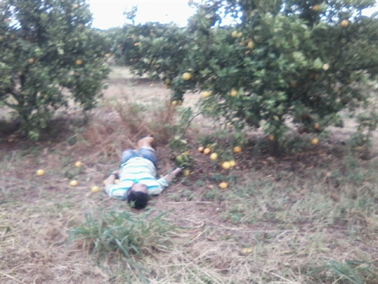 Lavrador pode ter morrido por descarga de raio