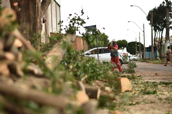 A fiscalização do cumprimento das normas estabelecidas será realizada pelo Departamento de Fiscalização Tributária e Mobiliária  (Foto: Andre Borges/Agência Brasília)
