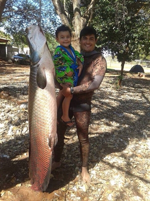 Pescador votuporanguense tira a sorte grande ao conseguir peixe de 50 quilos