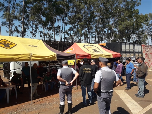 (Foto: Divulgação/Polícia Federal de Jales)