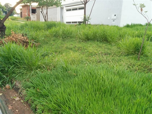 Lotes sujos espalhados pela cidade renderam mais de R$ 160 mil em multas para a Prefeitura de Votuporanga (Foto: Prefeitura de Votuporanga)