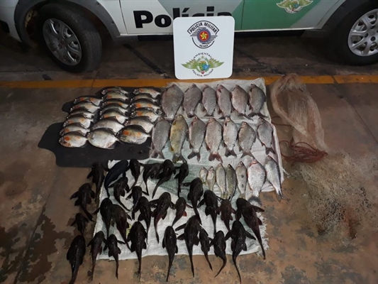 Os policiais ambientais de Votuporanga apreenderam vários peixes, que serão distribuídos a instituições filantrópicas (Foto: Divulgação/Polícia Ambiental)