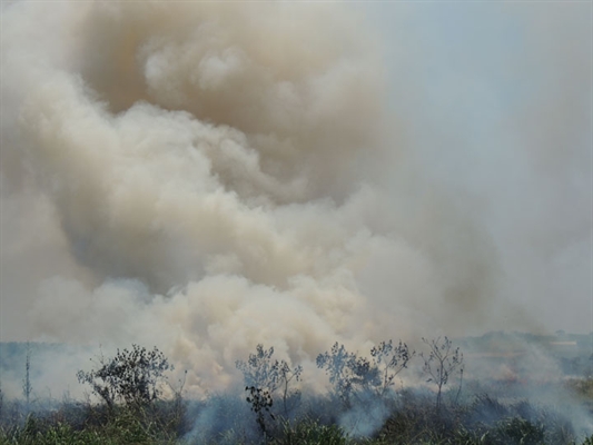 Queimada chega perto de casas em Valentim