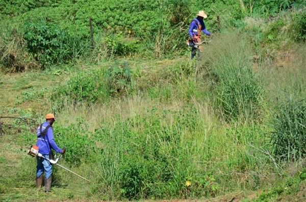 Proprietários de terrenos em Votuporanga têm até o próximo dia 1º para limpar os imóveis antes de serem multados (Foto: Prefeitura de Votuporanga)