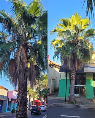 Foto: A Cidade