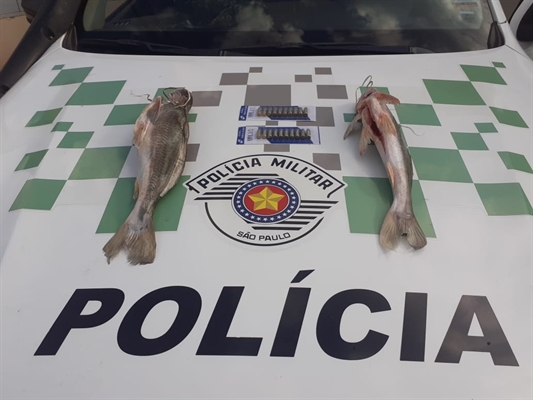 Os peixes foram apreendidos e doados a instituição de caridade (Foto: Divulgação)