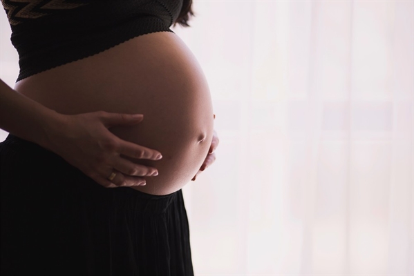 Poluição do ar pode chegar à placenta de mulheres grávidas, aponta estudo belga — Foto: Unsplash