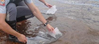 PM Ambiental flagra comércio de iscas vivas de pesca