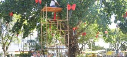 Prefeitura instala decoração na Praça São Bento