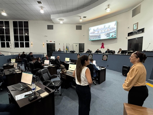 Vereadores vão decidir se derrubam ou mantém o veto da Prefeitura ao projeto contra adultização de crianças na cidade (Foto: Assessoria)